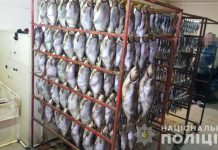 На Днепропетровщине продавали копченую рыбу, которую вымачивали в неизвестном веществе