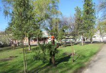 Привели в порядок небольшой сквер в центре Павлограда (ФОТОФАКТ)