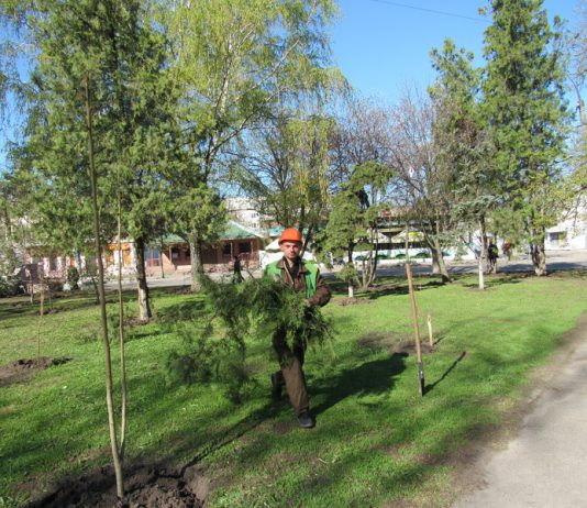 Привели в порядок небольшой сквер в центре Павлограда (ФОТОФАКТ)