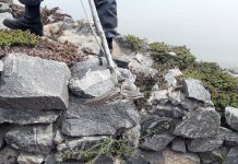 На Днепропетровщине активизировались змеи