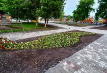 В Павлограде создают креативные клумбы