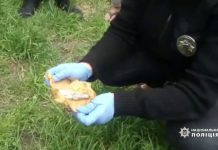 У жителя с. Межирич изъяли ржавые гранаты (ВИДЕО)