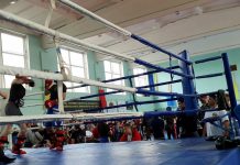 В Павлоград съехались сильнейшие кикбоксеры Украины (ВИДЕО)