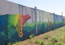 В Павлограде нарисовали мурал с краснокнижными животными (ФОТО И ВИДЕО)