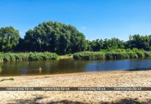 На пляжах Дніпропетровщини дослідили якість води: яка ситуація у Павлограді?