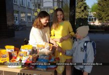 «Они рядом»: школьники из Павлограда придумали проект в поддержку животных