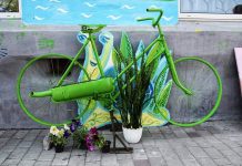 Впервые в Павлограде прошёл эко-фестиваль (ФОТО)