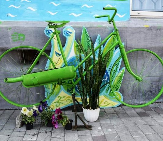 Впервые в Павлограде прошёл эко-фестиваль (ФОТО)