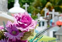 Вблизи Павлограда может появиться новое кладбище