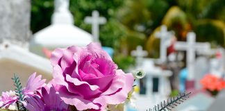 20% мусора на кладбищах Павлограда — искусственные цветы