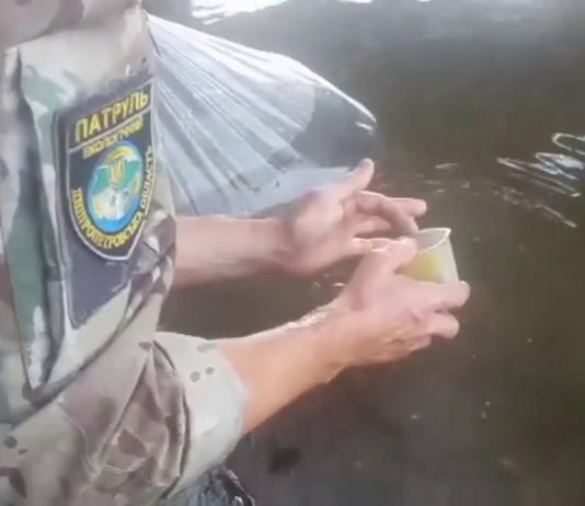 В реки Павлограда и Терновки выпустили больше 7 тыс. мальков сома (ВИДЕО)