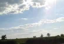 На берегу реки в Павлограде нашли старую мину