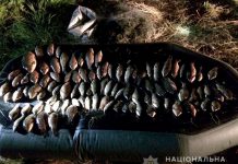 Першотравенец незаконно выловил почти сотню карасей