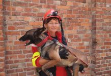 Малинуа из Павлограда вошла в список лучших собак-спасателей мира