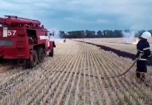 Возле Богиновки сгорел почти гектар стерни (ВИДЕО)