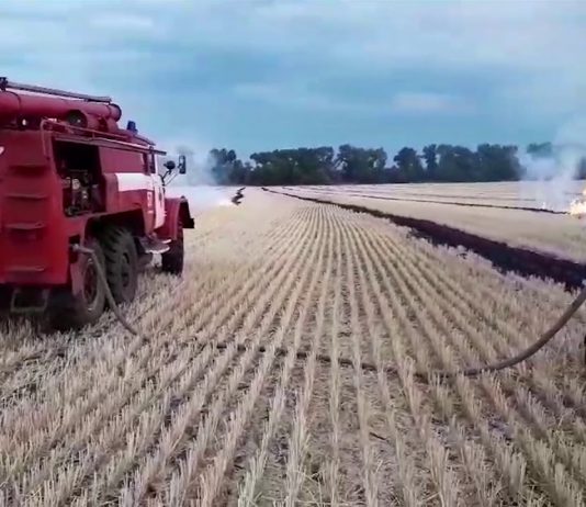 Возле Богиновки сгорел почти гектар стерни (ВИДЕО)