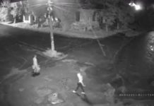 В Павлограде разыскивают мужчину, который создал стихийную свалку