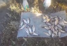 На Павлоградщине общественные активисты задержали браконьера (ВИДЕО)