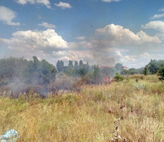 В Першотравенске горел сухостой