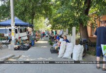 В Павлограде жители против стихийного рынка в их дворе (ВИДЕО)