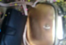 В парке Павлограда женщина украла у отдыхающей сумочку