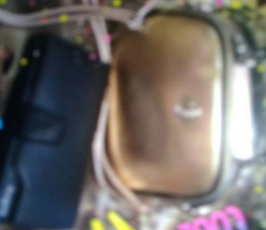 В парке Павлограда женщина украла у отдыхающей сумочку