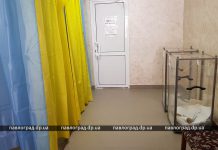 Стала известна явка избирателей в Западном Донбассе по состоянию на 12:00