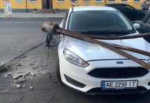 В центре Павлограда столбы и ветка рухнули на машины (ФОТО и ВИДЕО)