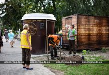 В центре Павлограда появилась аллея декоративных деревьев