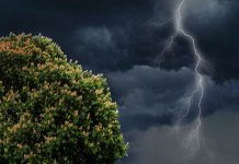 Последствия циклона: обесточены дома, деревья падают на машины