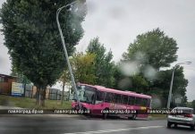 В Павлограде автобус врезался в столб (ВИДЕО)