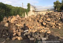 У жителя Петропавловки нашли 15 тонн древесины