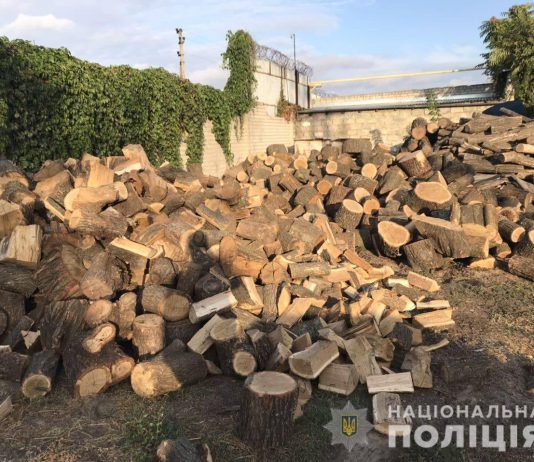 У жителя Петропавловки нашли 15 тонн древесины