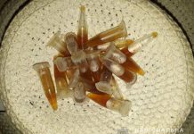 У жителя Терновки нашли флаконы с опием