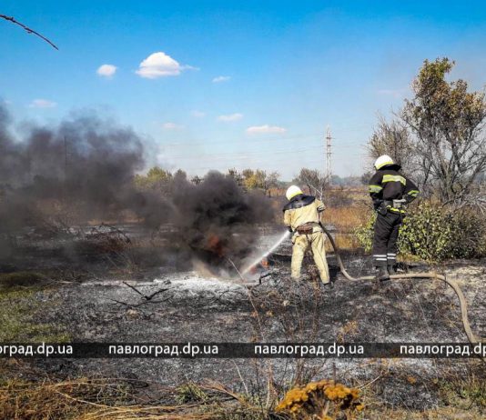 В Павлограде горел лиман