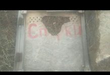 Павлоградским кинологам вандалы разбили боксы для собак (ВИДЕО)