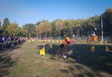 В Павлограде открыли площадку для дрессировки собак