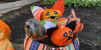 В Павлограде прошел первый фестиваль тыкв (ФОТОФАКТ)