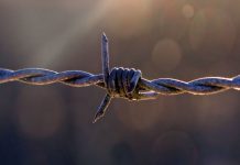 Полиция подозревает павлоградца в убийстве родственника