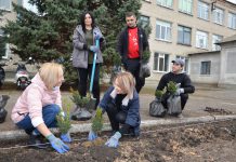 Розы и самшит от Героев и Днепровского