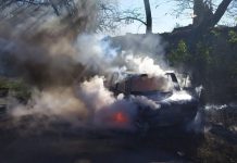 В Павлоградском районе сгорел автомобиль