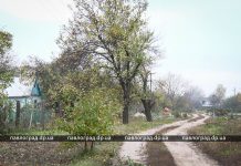 В Павлограде разоблачили серийного дачного вора