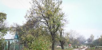 В Павлограде разоблачили серийного дачного вора