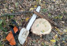 На Павлоградщині засудили чоловіка за незаконну вирубку лісу