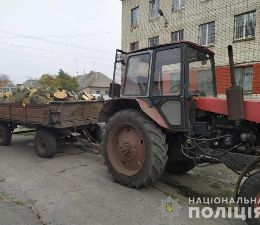 В Павлограде остановили трактор с дровами без документов