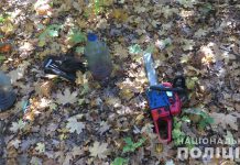 В Павлоградском районе мужчины незаконно вырубили 6 дубов