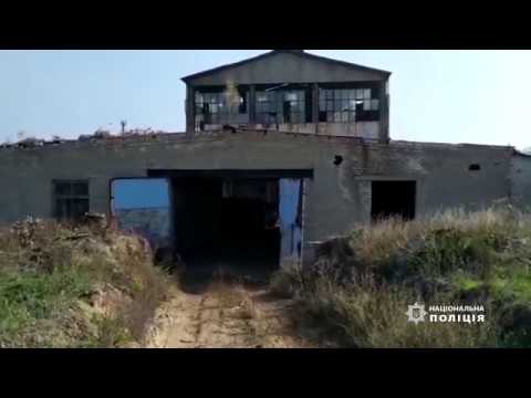 В Павлограде обнаружили «подпольный» склад с дровами (ВИДЕО)