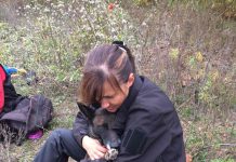 Павлоградские кинологи — в числе награжденных за спасение 2-летнего мальчика (ФОТО и ВИДЕО)