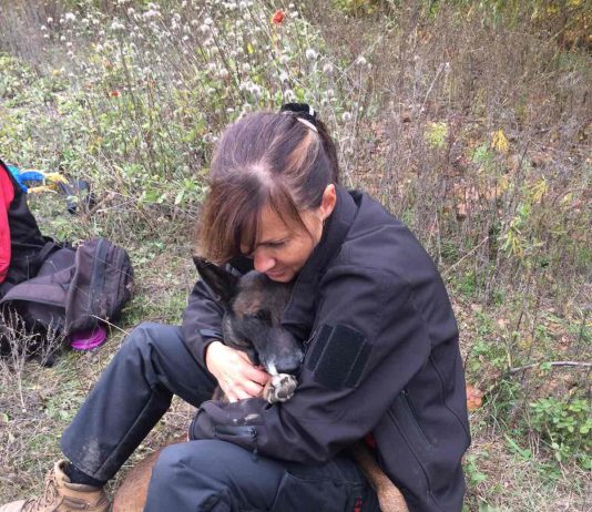 Павлоградские кинологи — в числе награжденных за спасение 2-летнего мальчика (ФОТО и ВИДЕО)