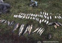На Павлоградщине в сети браконьера попала рыба, занесенная в Красную книгу
